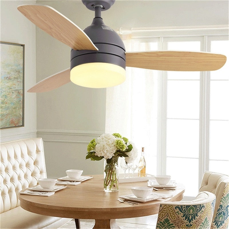 Modern Ceiling Light With Fan