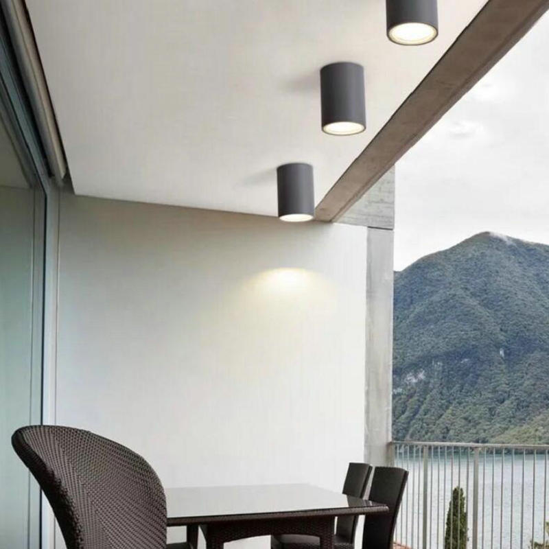Downlights LED Ceiling Lamps