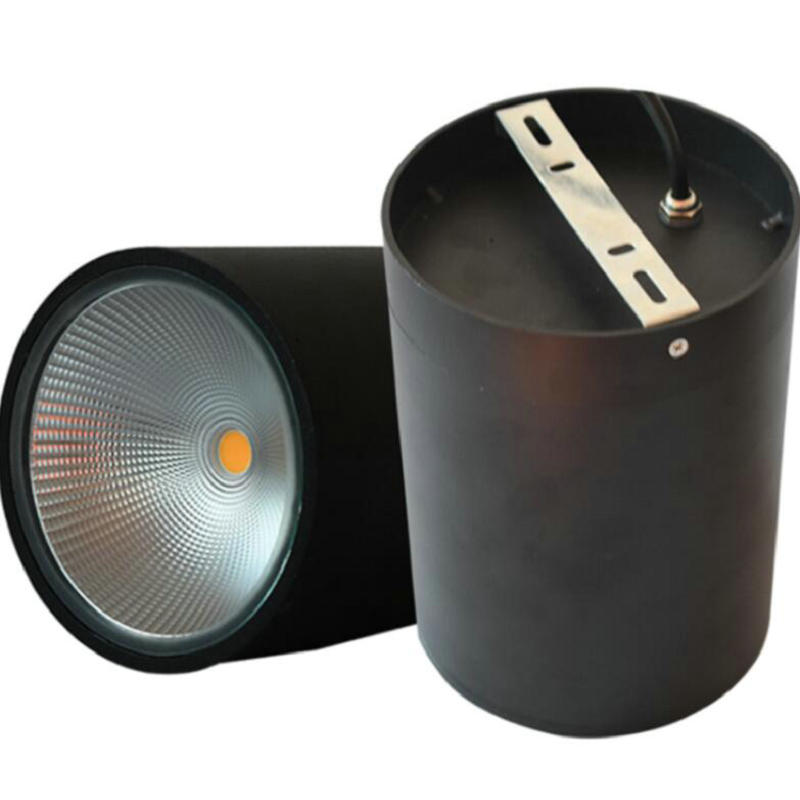 Downlights LED Ceiling Lamps