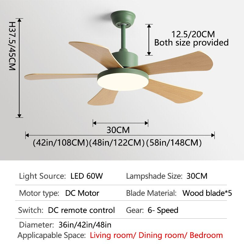 Children Room Ceiling Fan Light