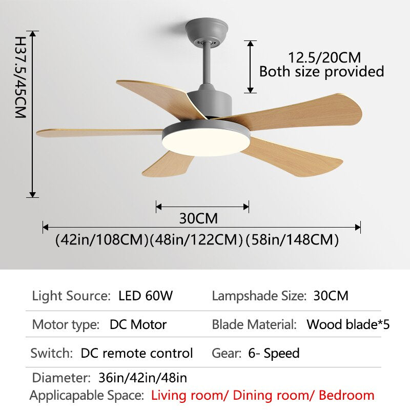 Children Room Ceiling Fan Light