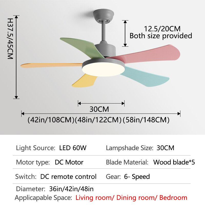 Children Room Ceiling Fan Light