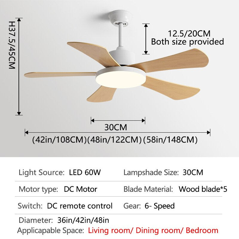 Children Room Ceiling Fan Light