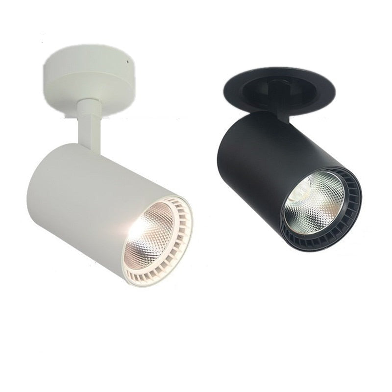 Downlight COB 30W LED Spot Light