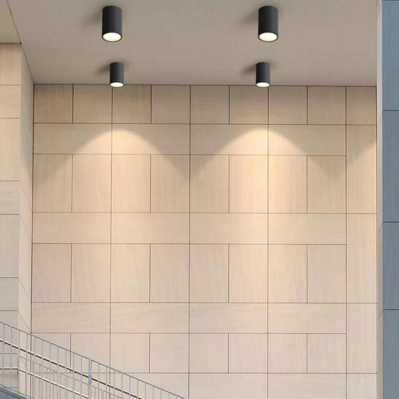 Downlights LED Ceiling Lamps