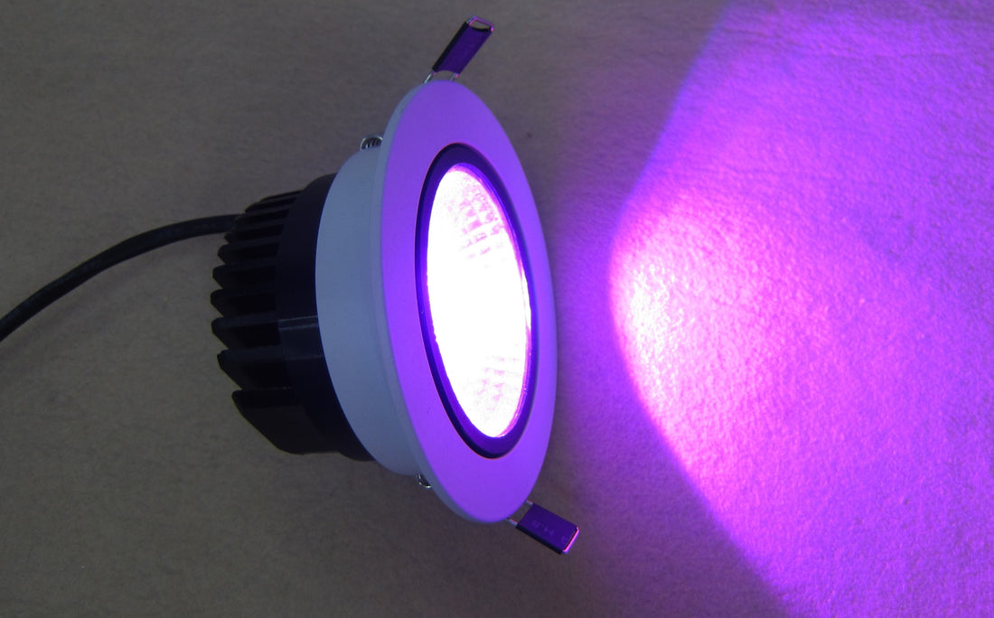 |136:200002573;249:200002590;200000531:4|3256804314744330-RGB-10w-Other