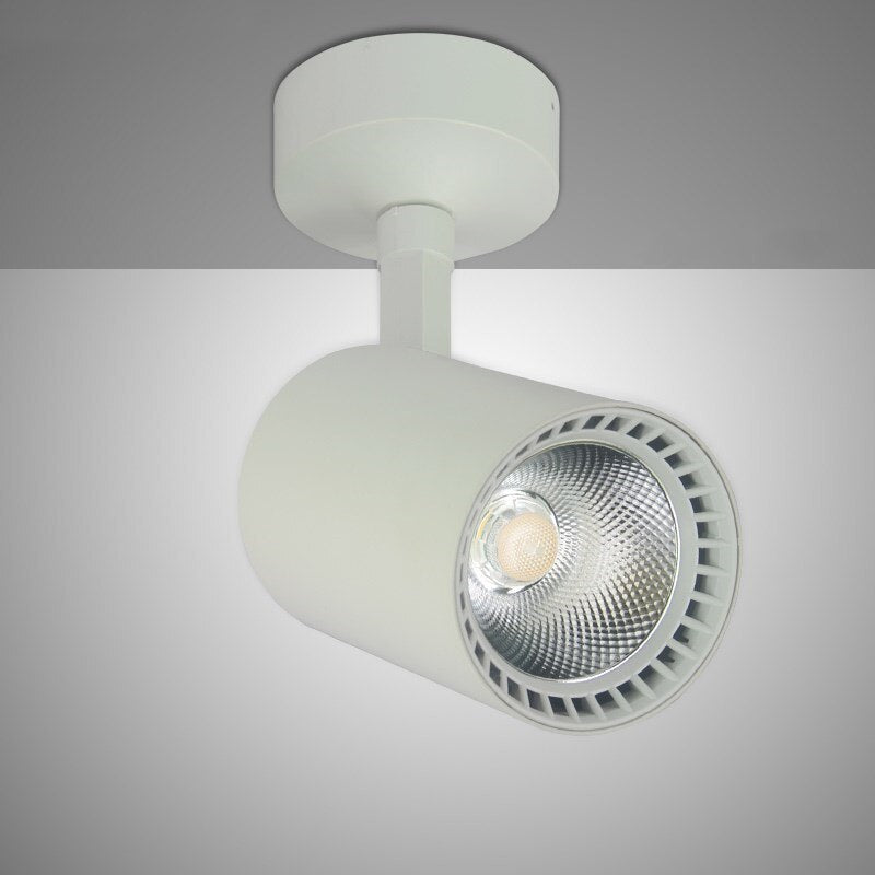 Downlight COB 30W LED Spot Light