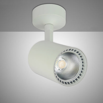 Downlight COB 30W LED Spot Light