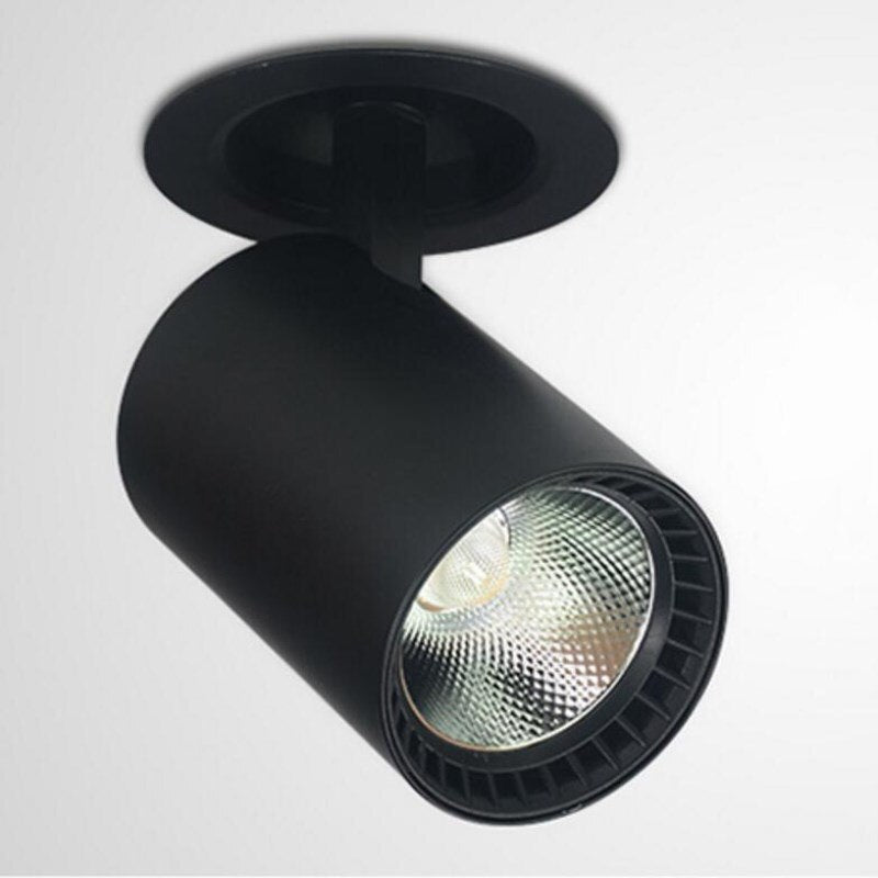 Downlight COB 30W LED Spot Light