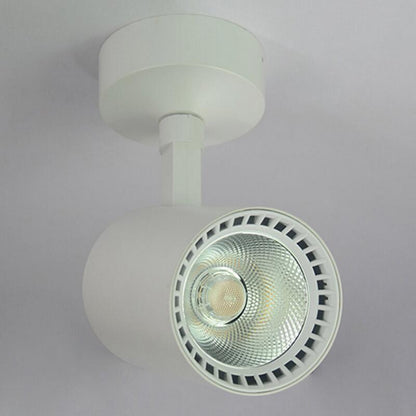 Downlight COB 30W LED Spot Light