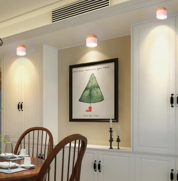 LED Downlight Ceiling Spotlights