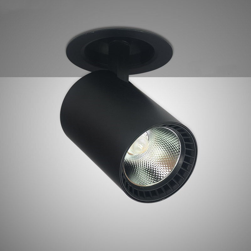 Downlight COB 30W LED Spot Light