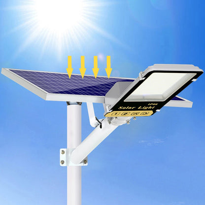 Outdoor  LED Solar Light