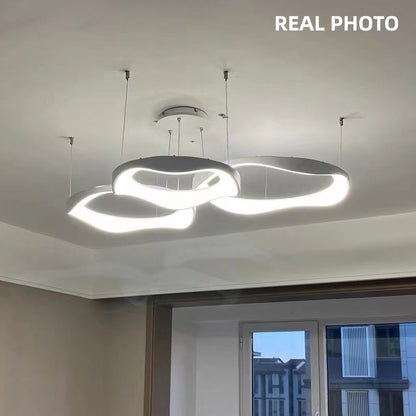 Minimalism Indoor Led Art Chandelier